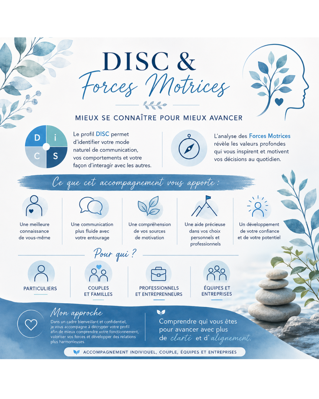 DISC et Force Motrices